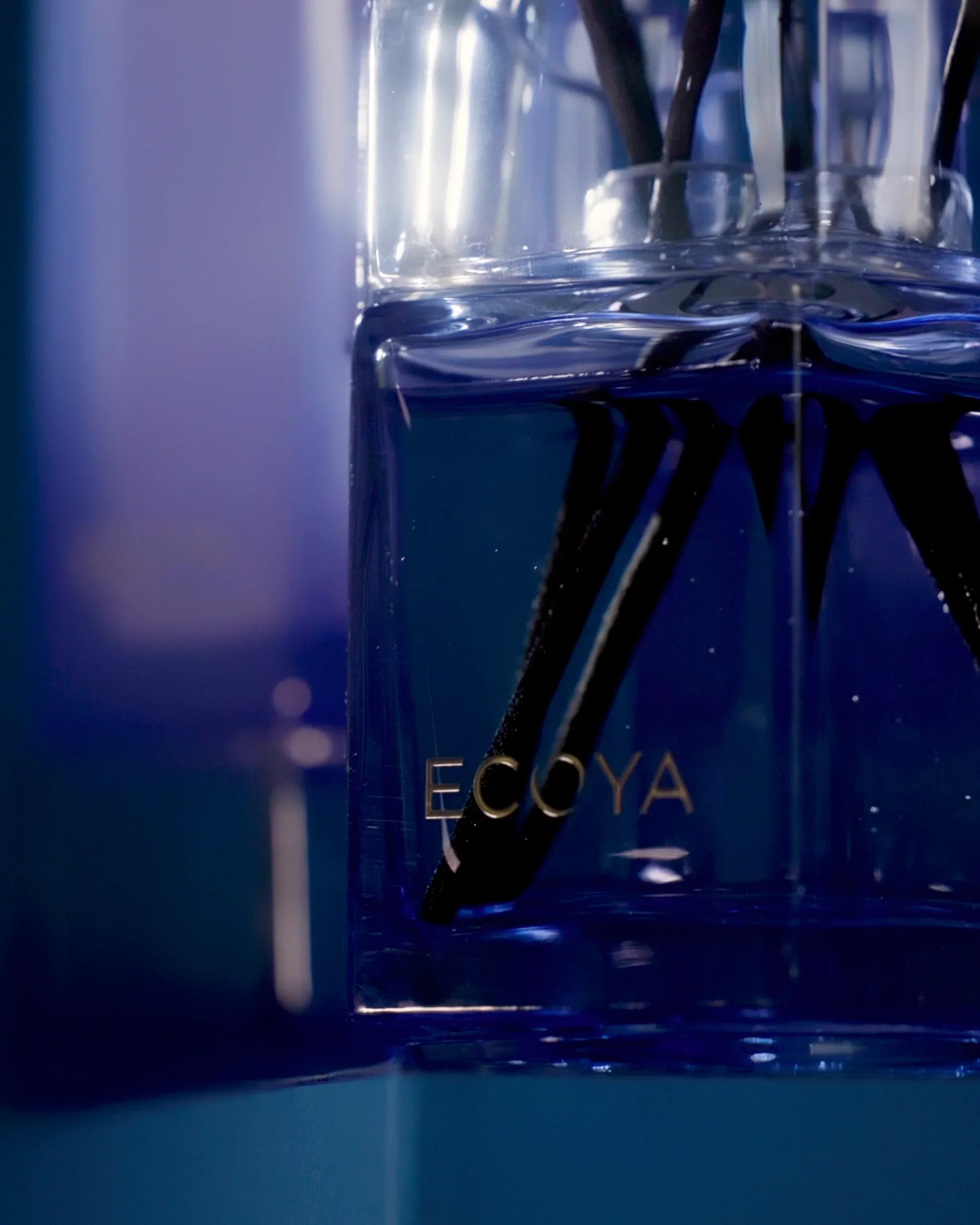 Ecoya Keepsake Reed Diffuser 2 - Blue - Image 5