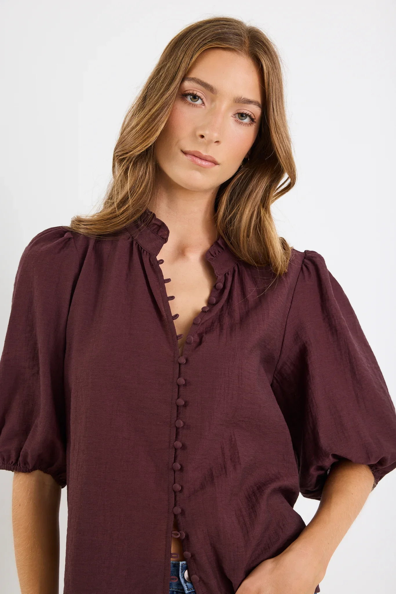 Ivy + Jack Continuance Semi Sheer High Neck Buttoned Short Sleeve Top - Chocolate - Image 2